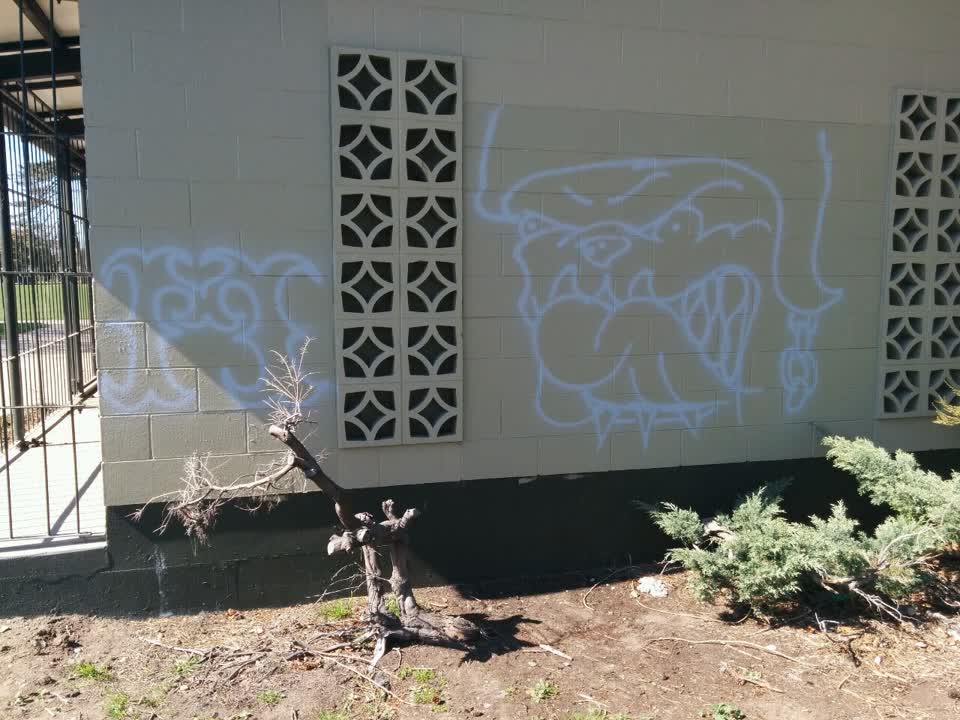 The photograph attached to this graffiti report