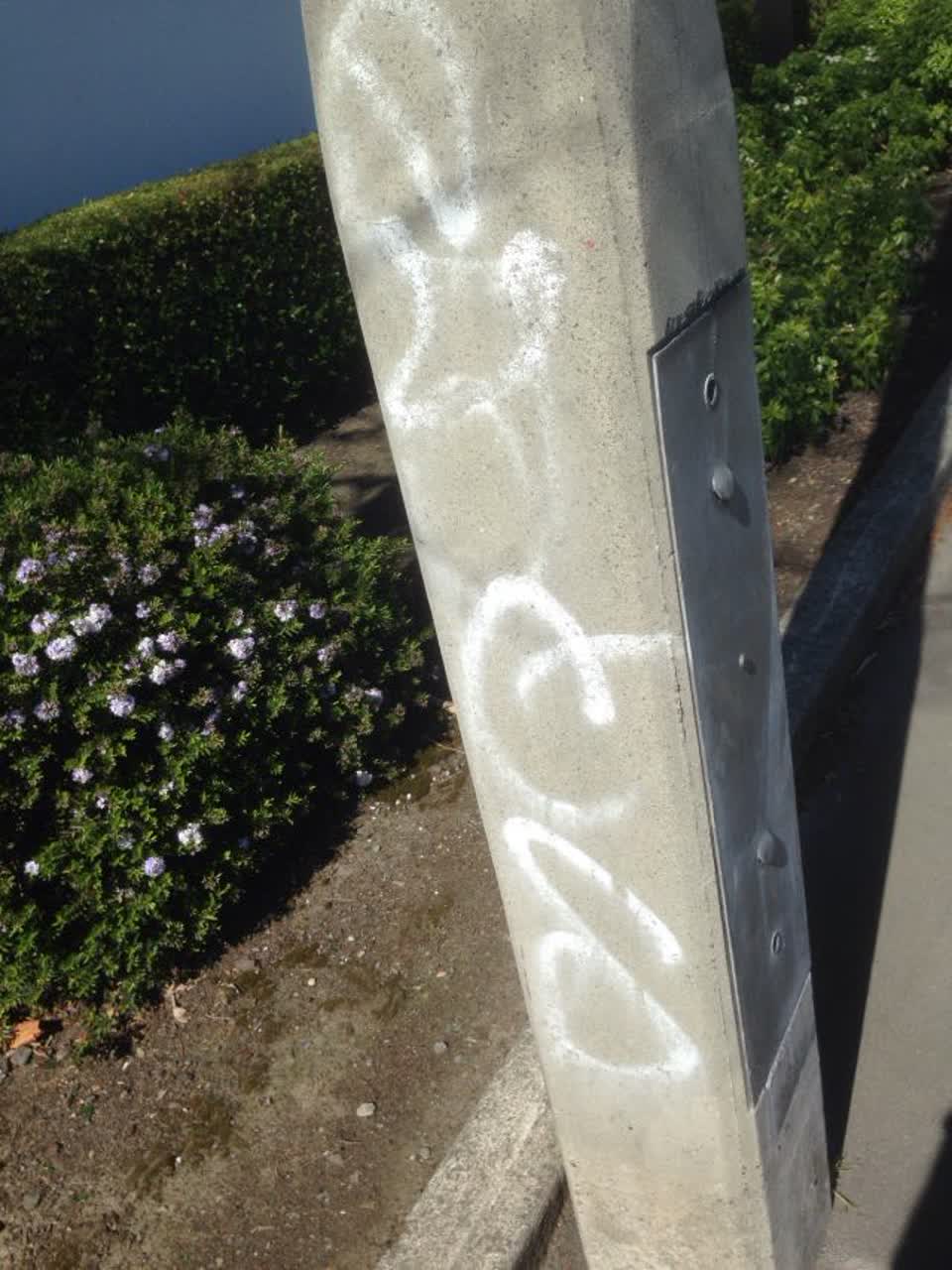 The photograph attached to this graffiti report