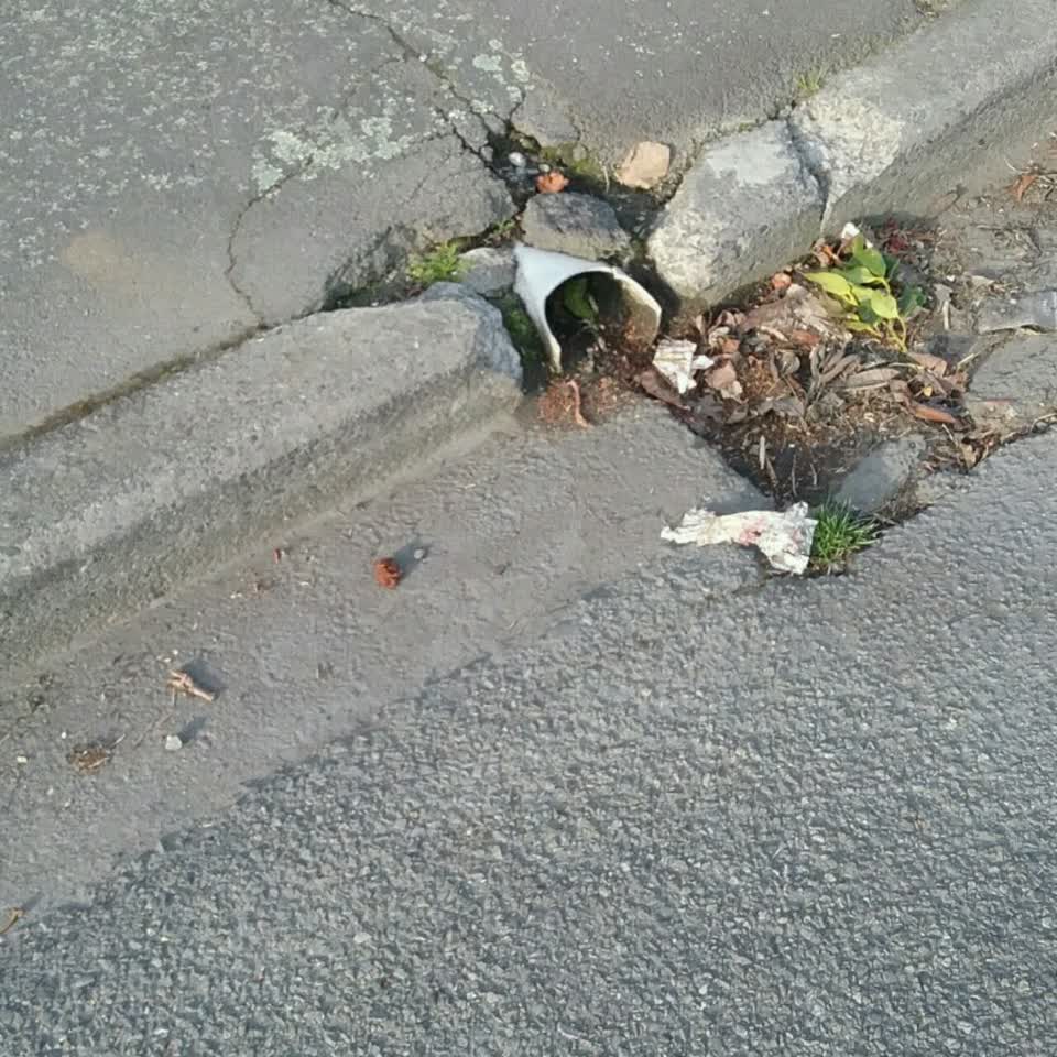 The photograph attached to this wastewater/stormwater report