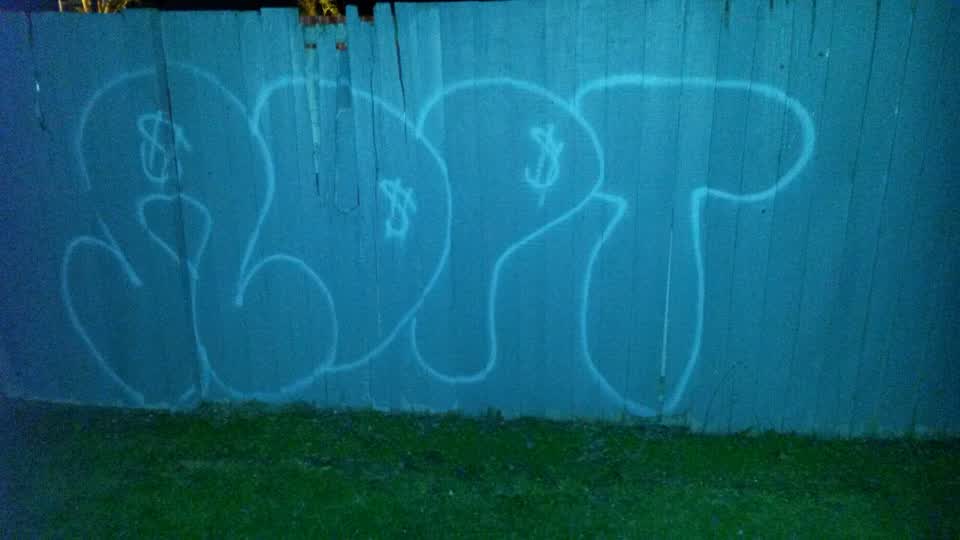 The photograph attached to this graffiti report