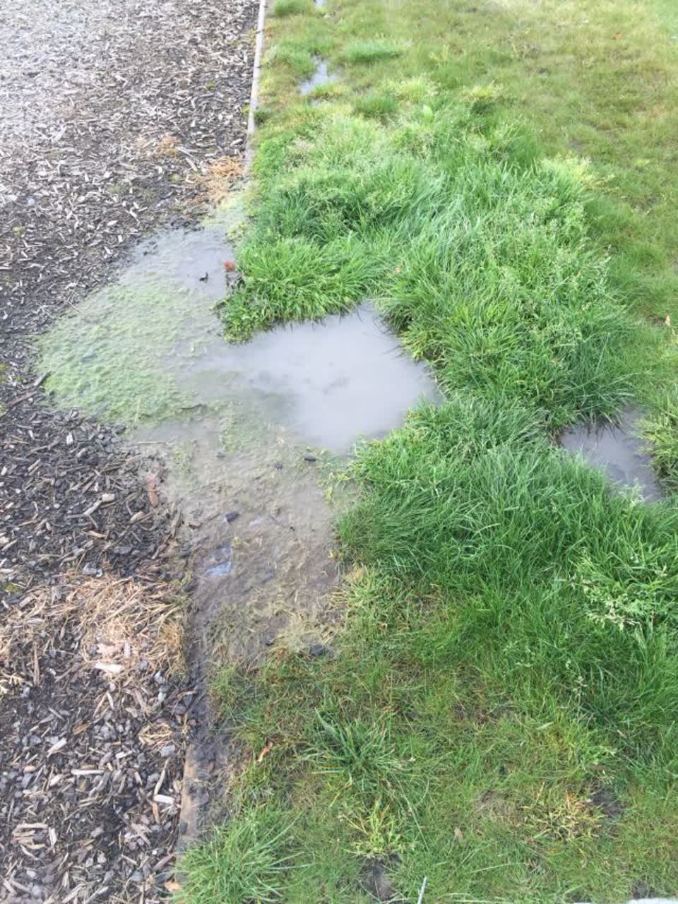 The photograph attached to this wastewater/stormwater report
