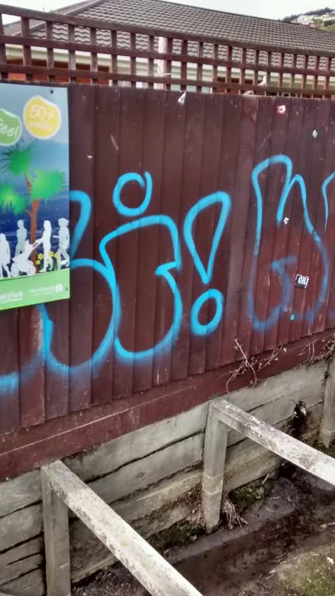 Graffiti, a report photo