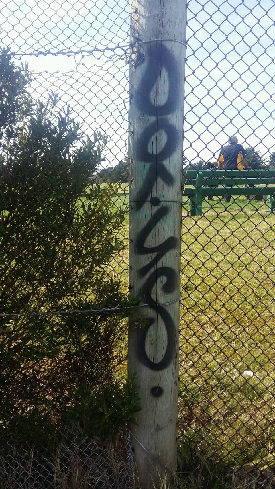 The photograph attached to this graffiti report