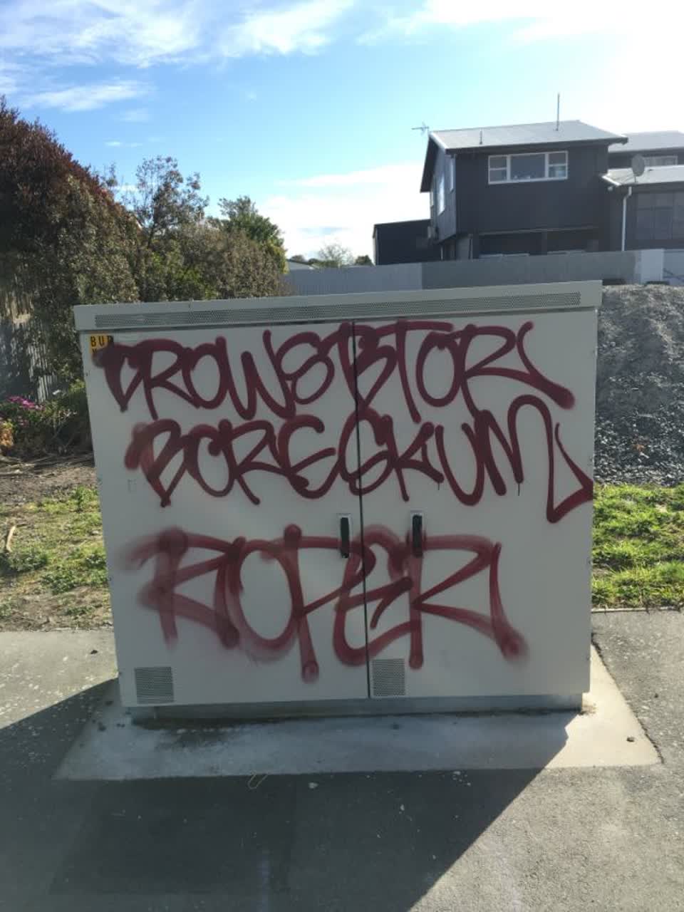The photograph attached to this graffiti report