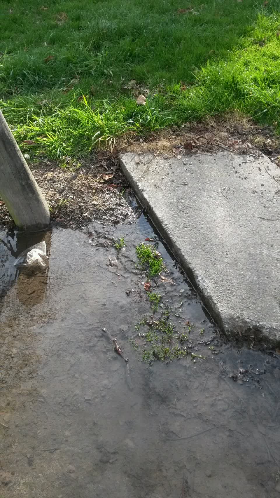 The photograph attached to this water supply report