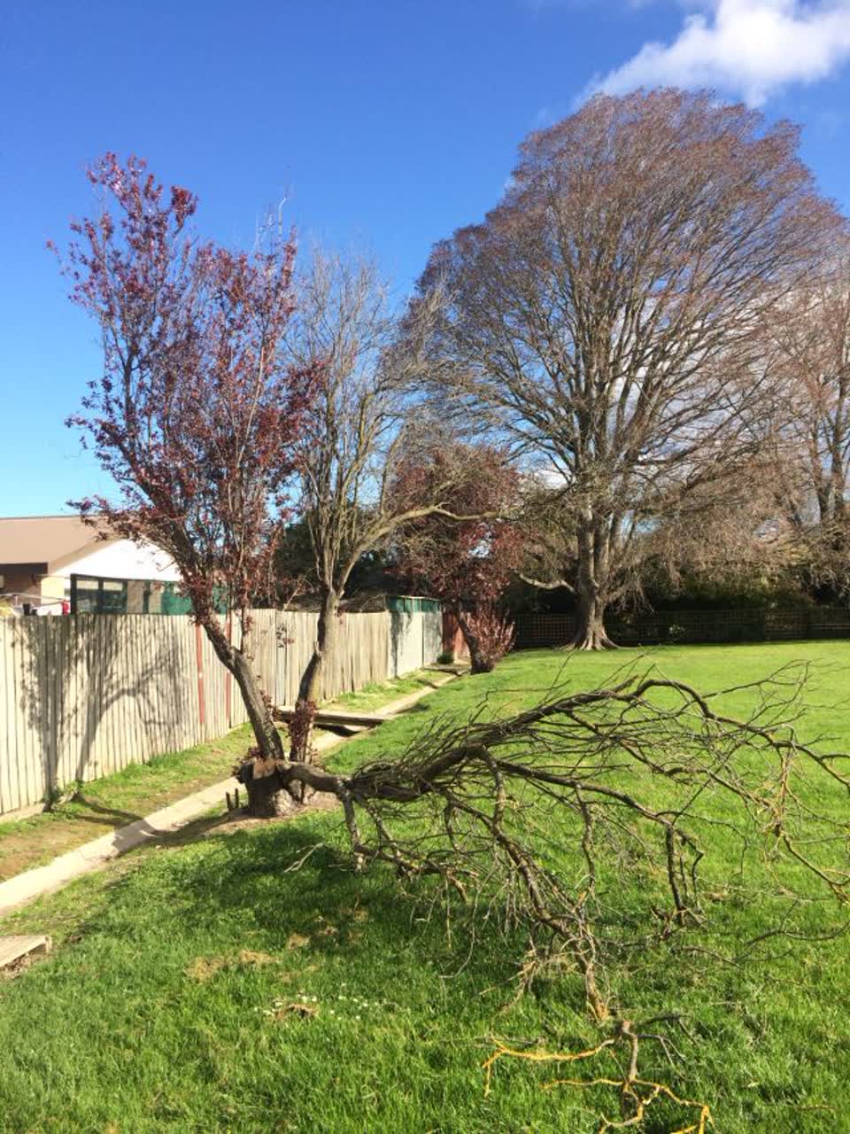 The photograph attached to this parks report