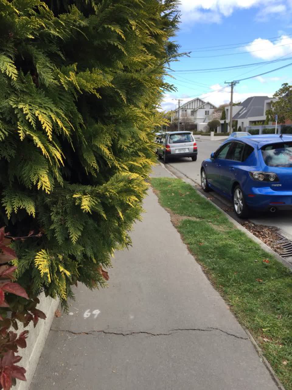The photograph attached to this roading/streets report