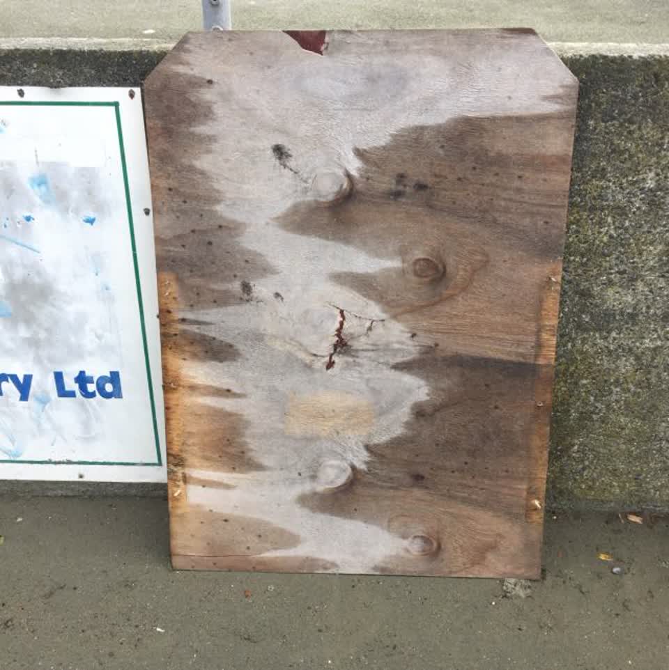 The photograph attached to this parks report