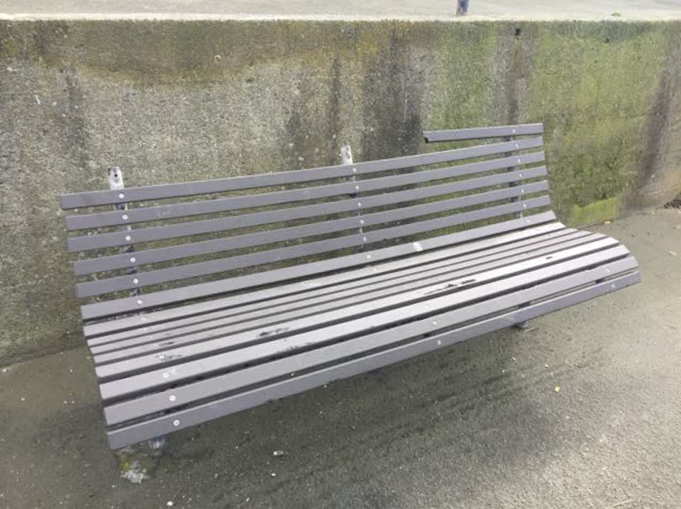 The photograph attached to this parks report