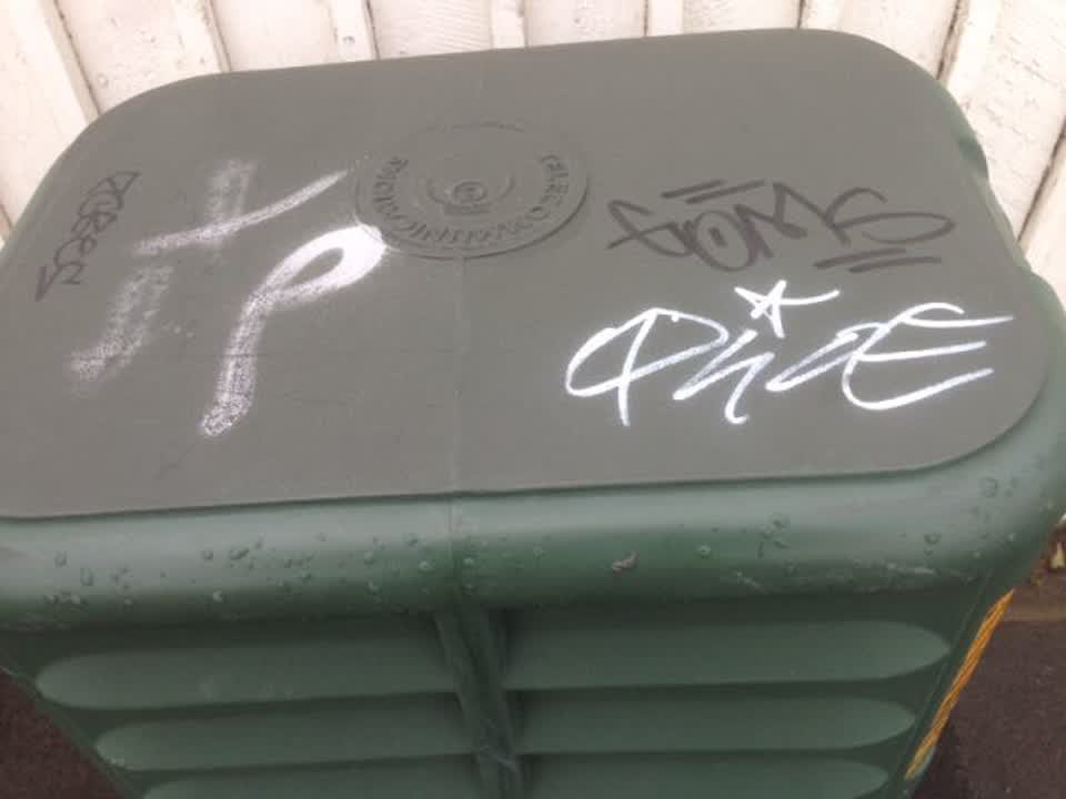 The photograph attached to this graffiti report