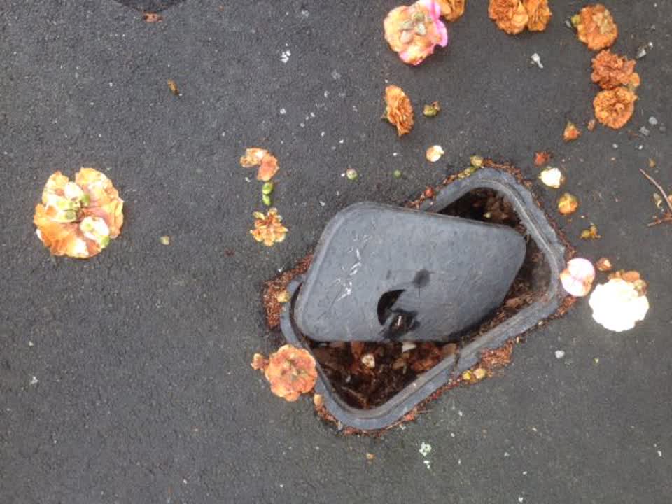 The photograph attached to this roading/streets report