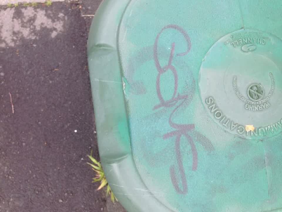 The photograph attached to this graffiti report