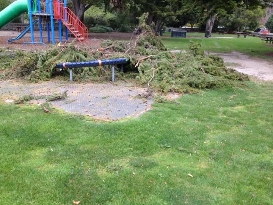 The photograph attached to this parks report