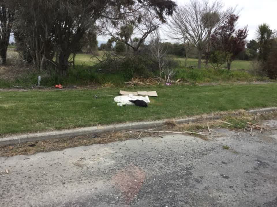 The photograph attached to this rubbish/recycling report