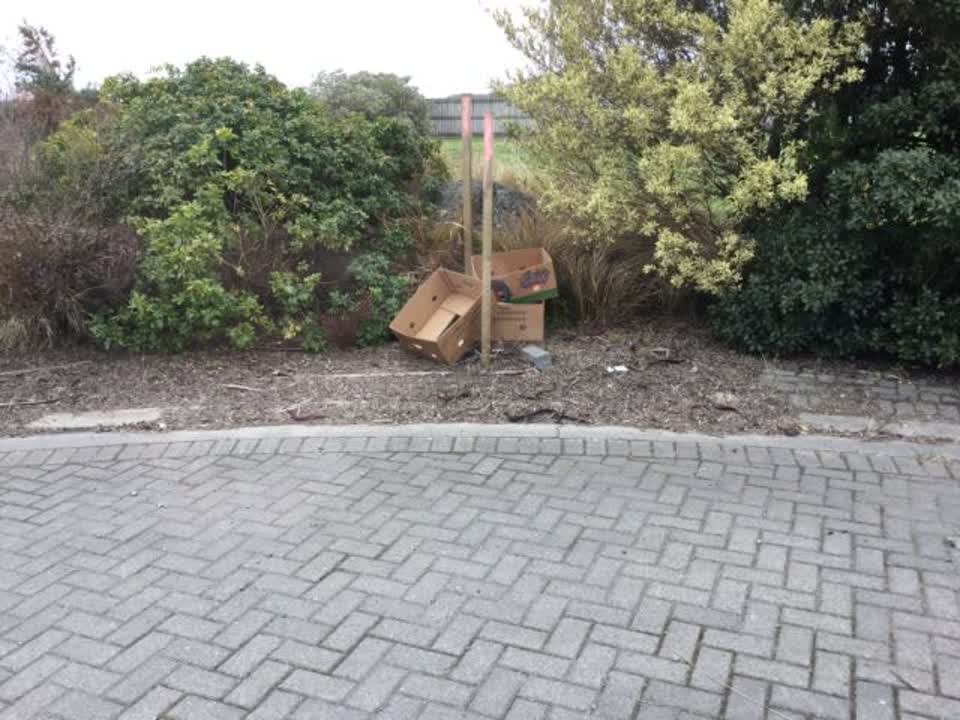 The photograph attached to this rubbish/recycling report