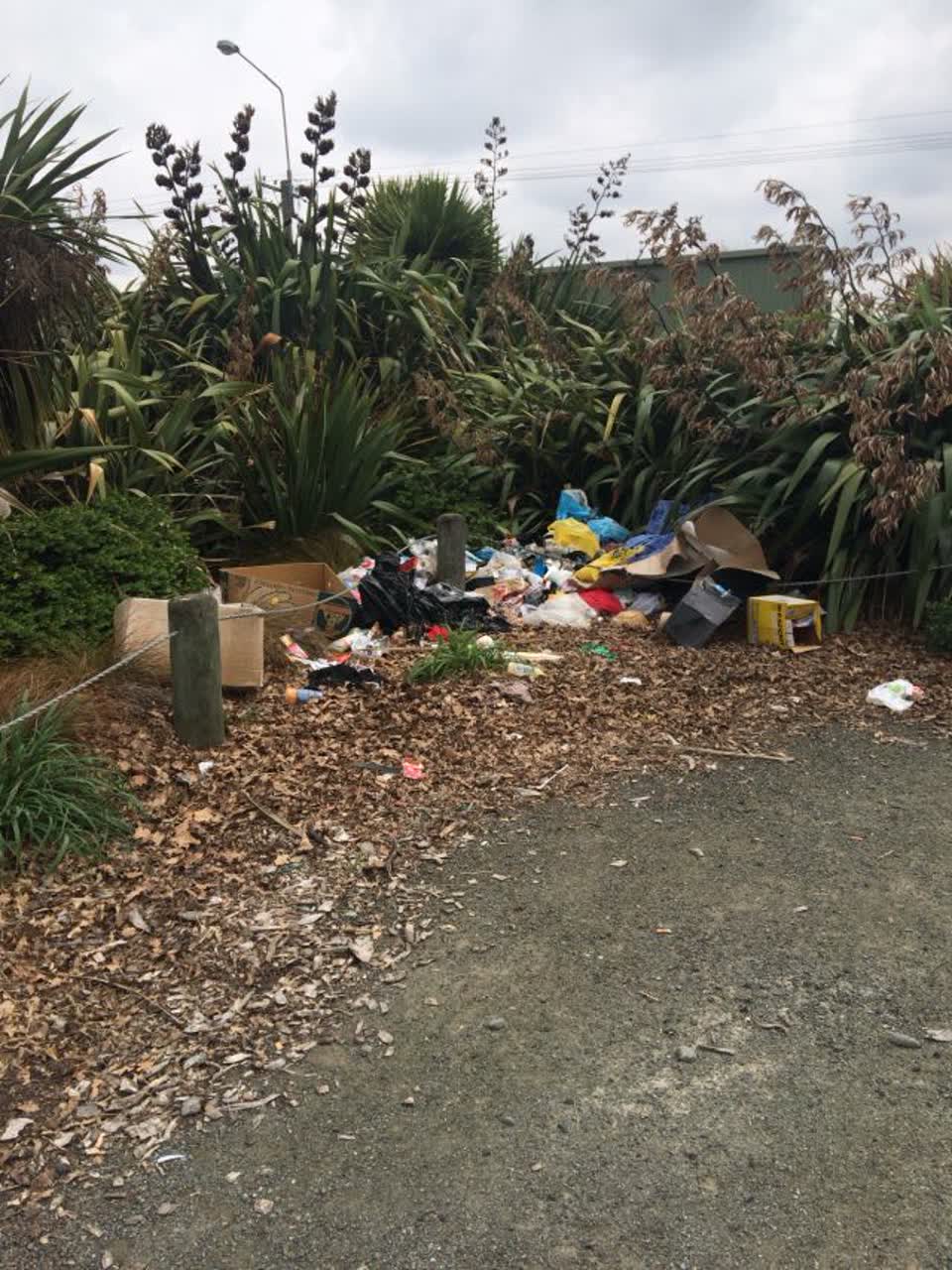 The photograph attached to this parks report