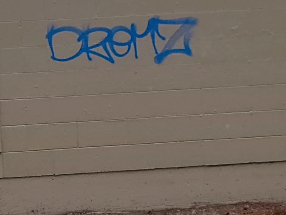 The photograph attached to this graffiti report
