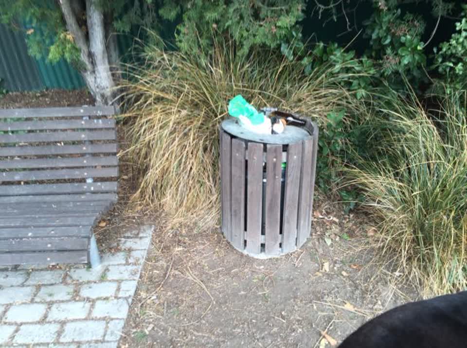 The photograph attached to this rubbish/recycling report