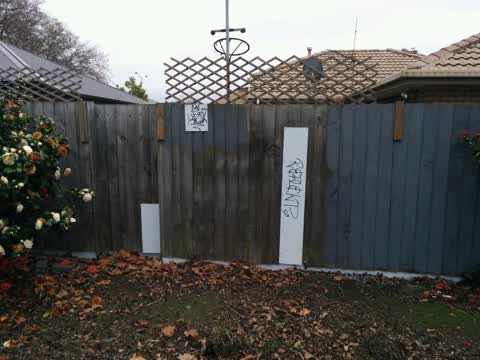 Graffiti, a report photo