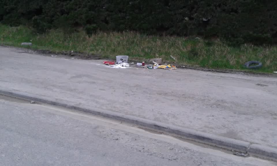 The photograph attached to this rubbish/recycling report