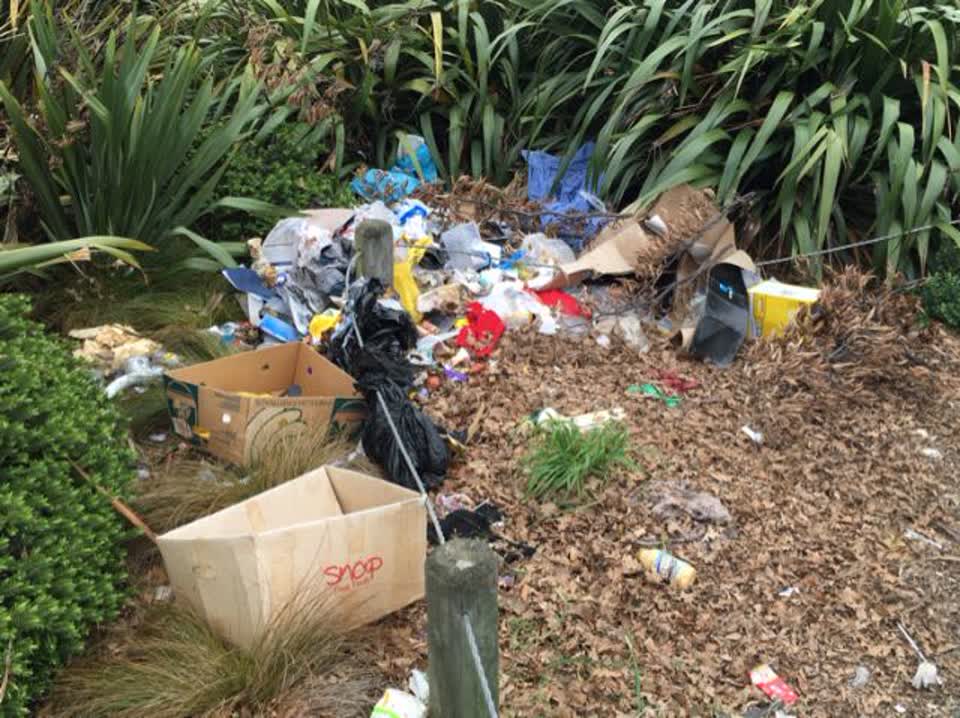 The photograph attached to this rubbish/recycling report
