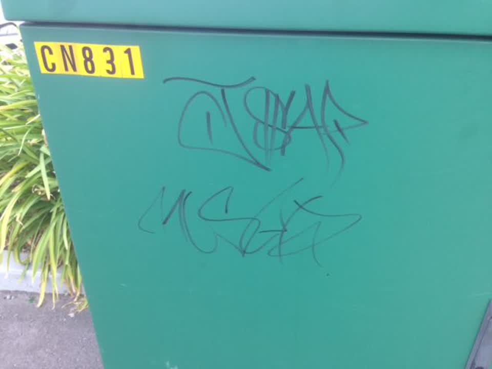 The photograph attached to this graffiti report