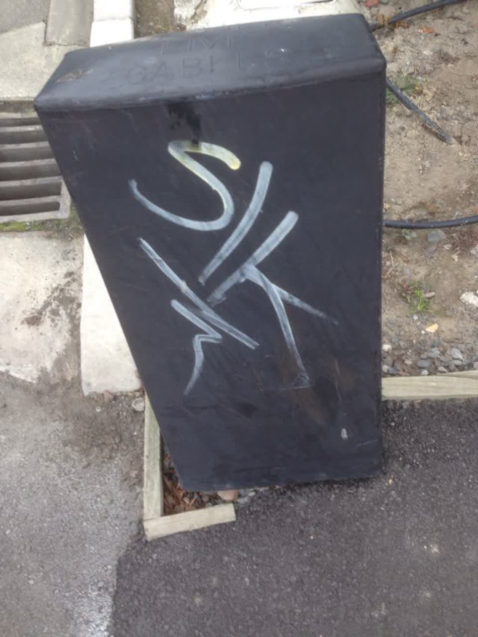 The photograph attached to this graffiti report