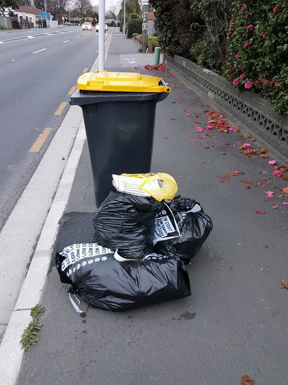 The photograph attached to this rubbish/recycling report