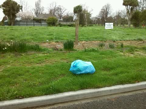 Rubbish/Recycling, a report photo