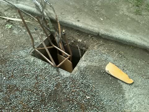 Roading/Streets, a report photo