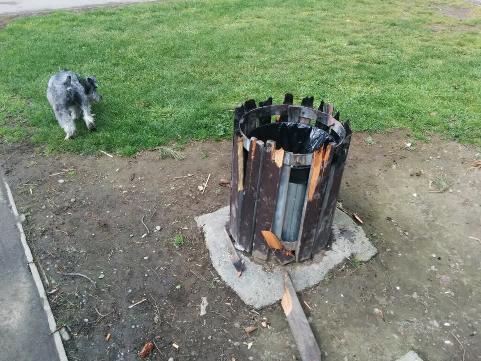 The photograph attached to this parks report