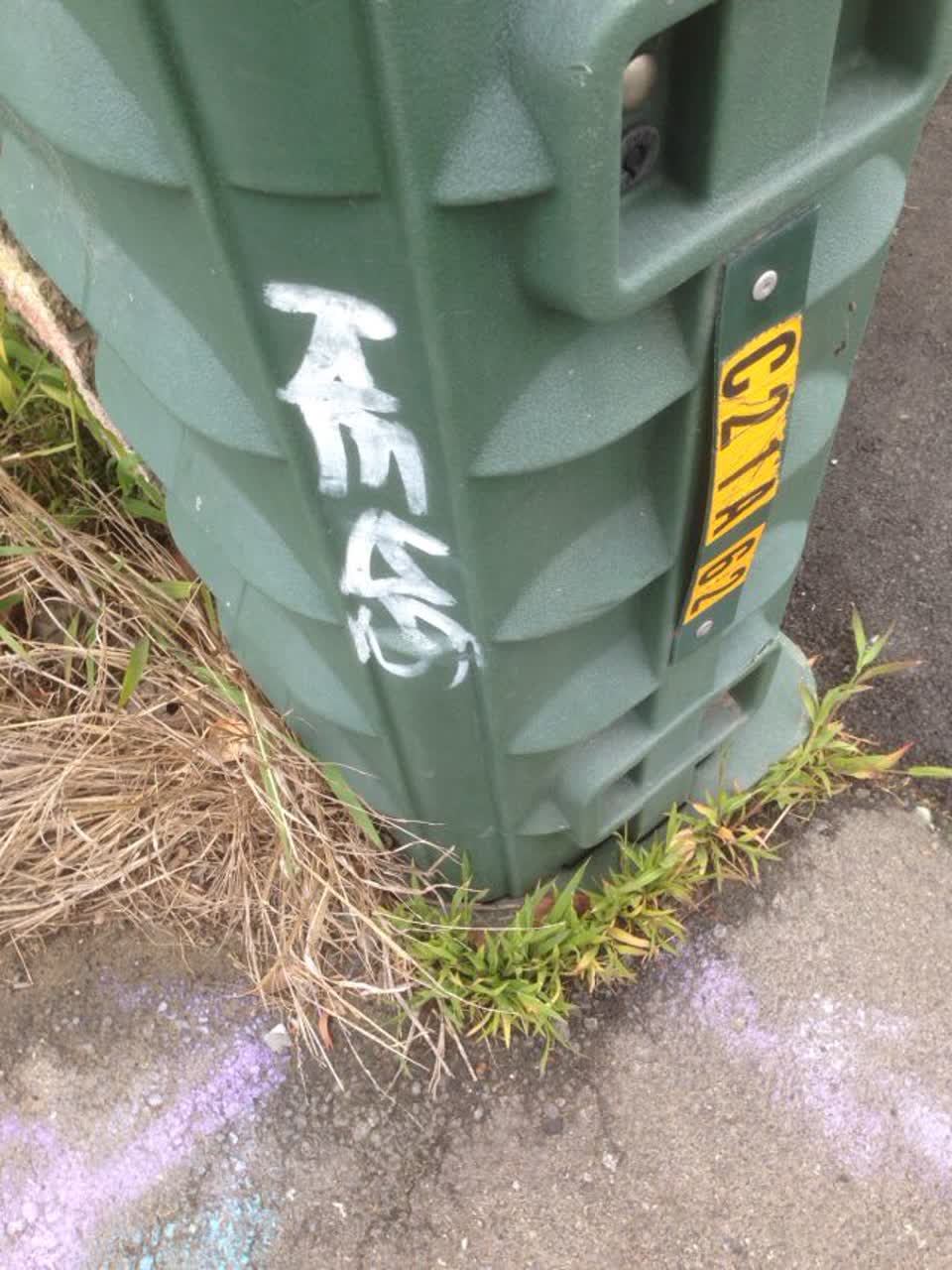 The photograph attached to this graffiti report