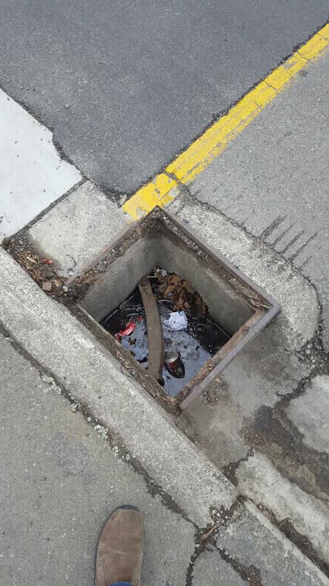 Roading/Streets, a report photo