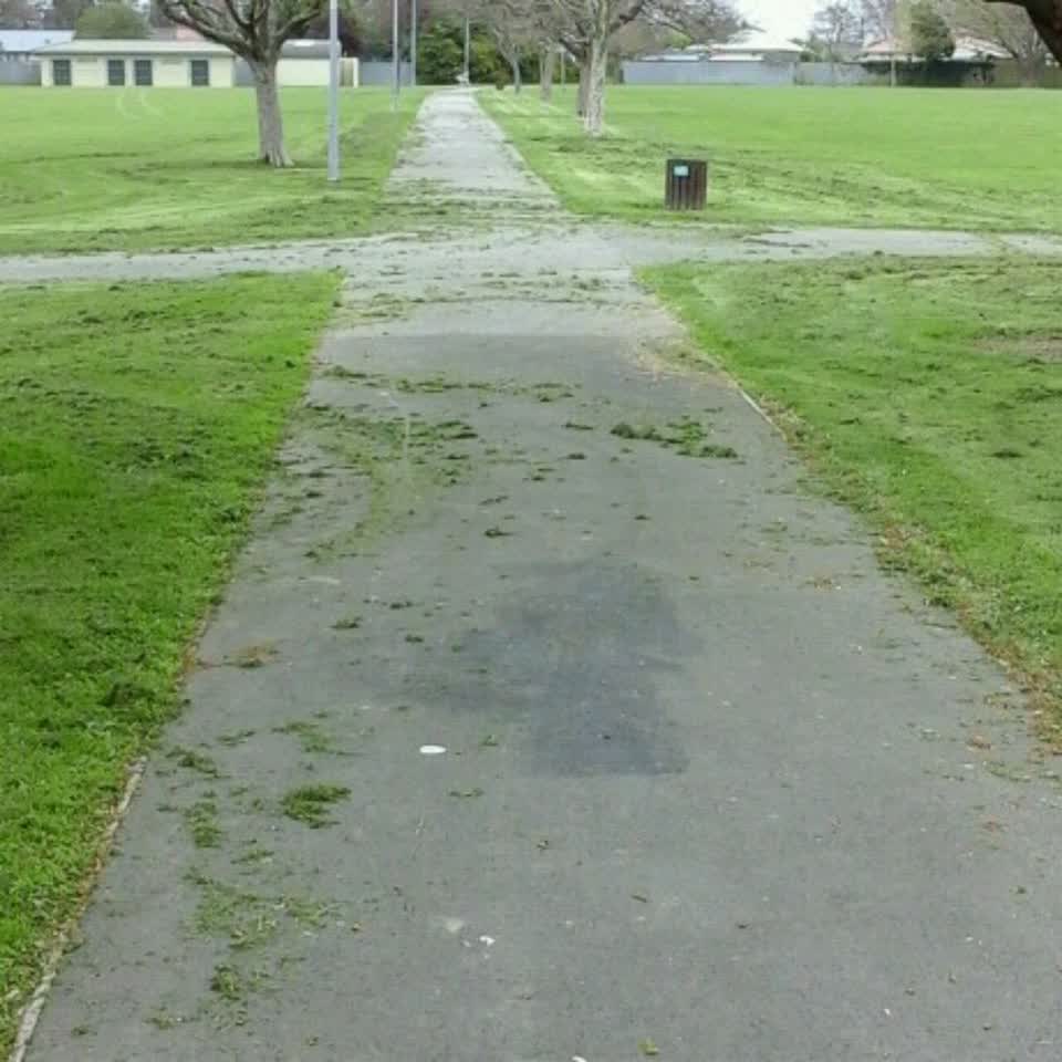 The photograph attached to this parks report
