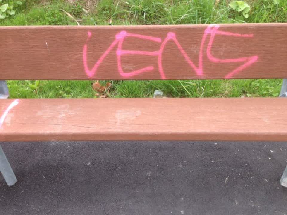 The photograph attached to this graffiti report