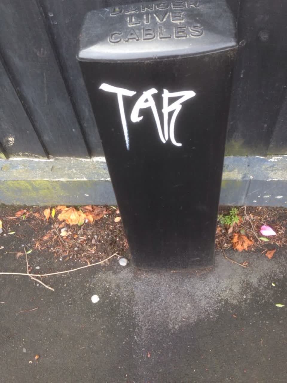 The photograph attached to this graffiti report