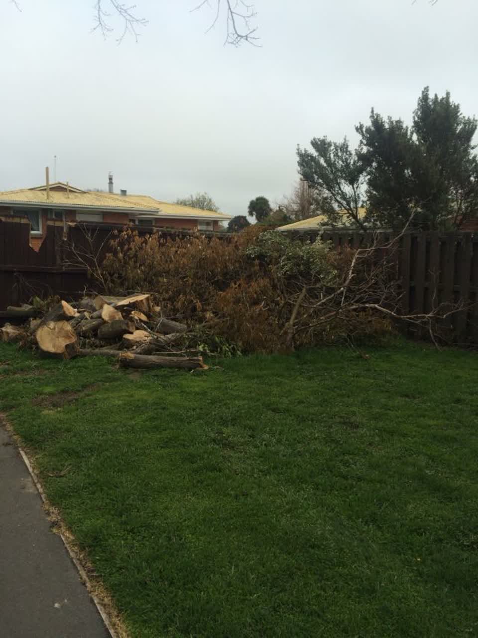 The photograph attached to this parks report