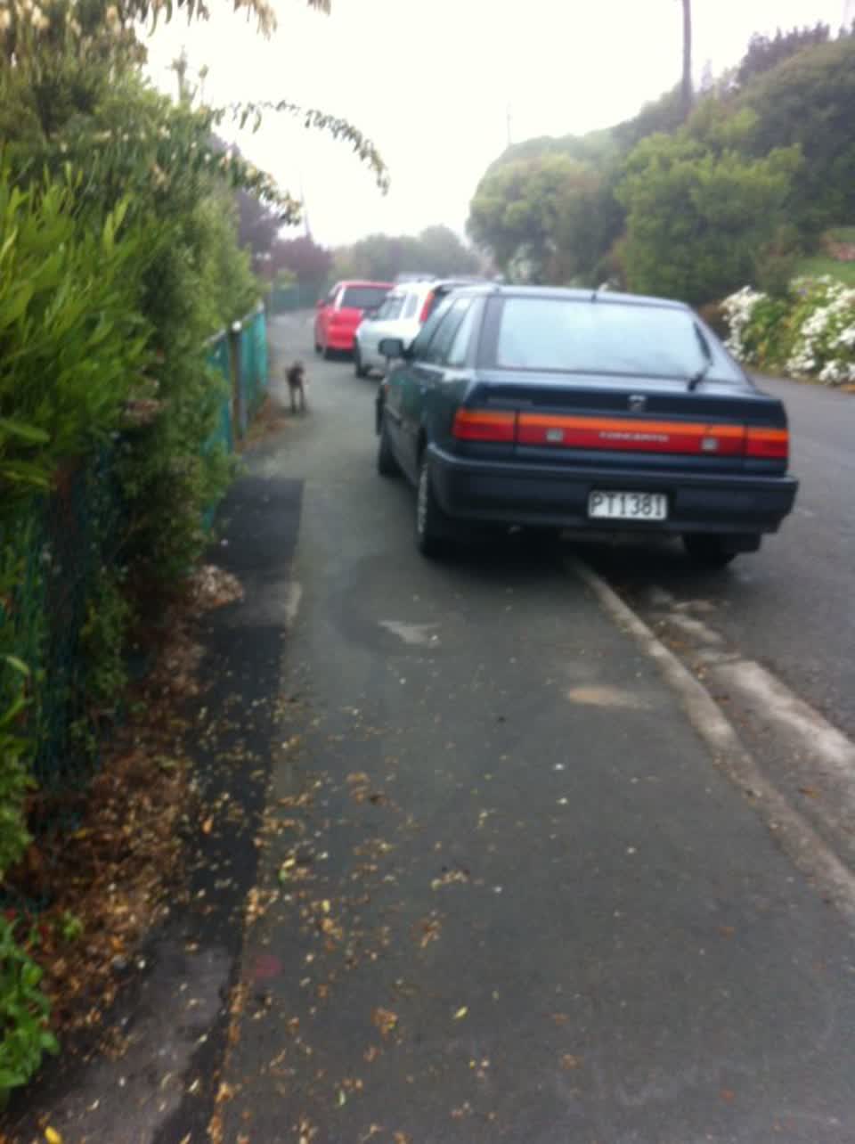The photograph attached to this roading/streets report