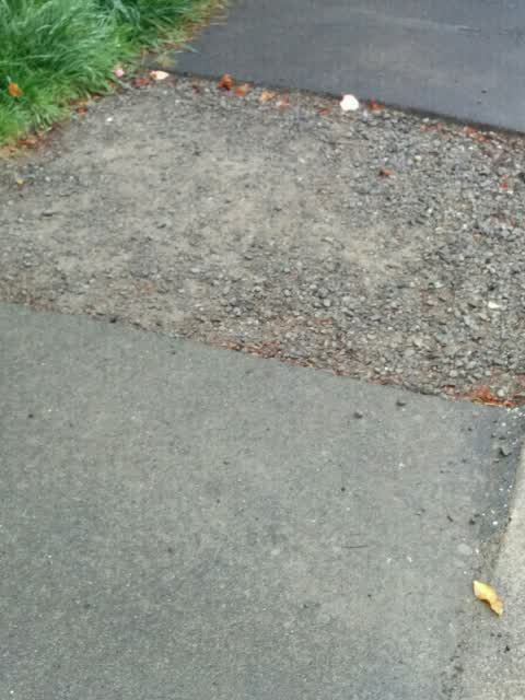 Roading/Streets, a report photo