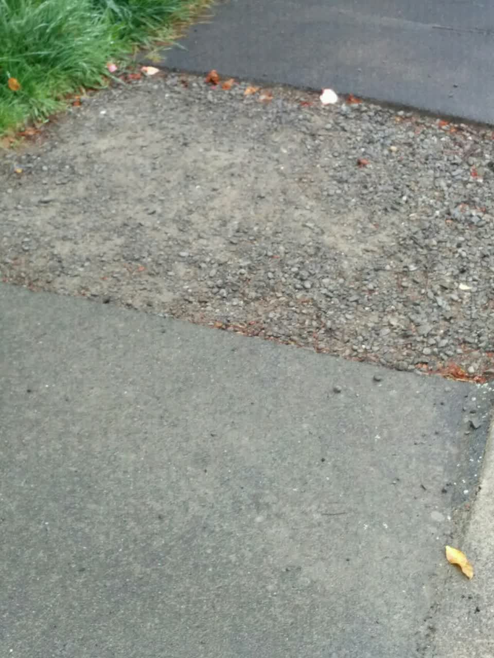 The photograph attached to this roading/streets report