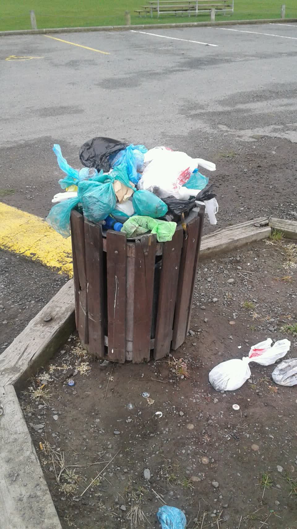 The photograph attached to this rubbish/recycling report