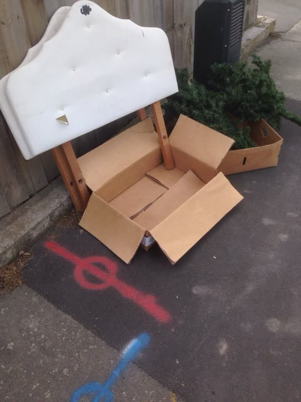 The photograph attached to this rubbish/recycling report
