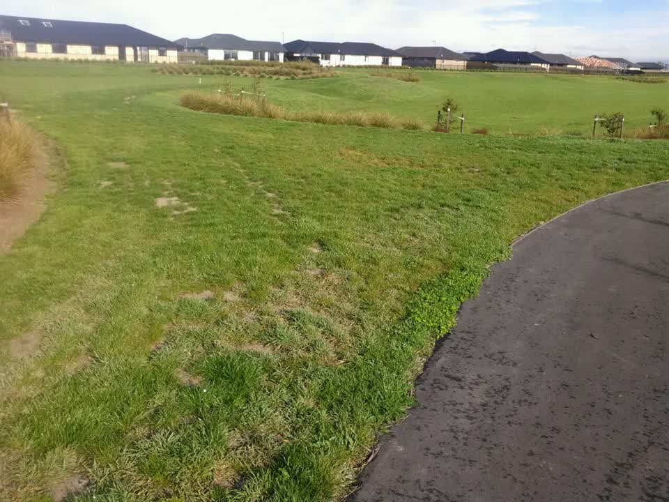 The photograph attached to this parks report