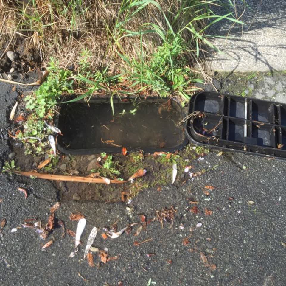 The photograph attached to this water supply report