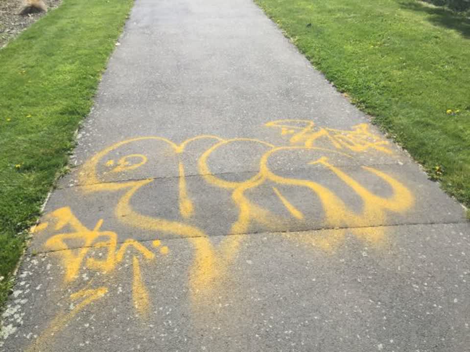 The photograph attached to this graffiti report