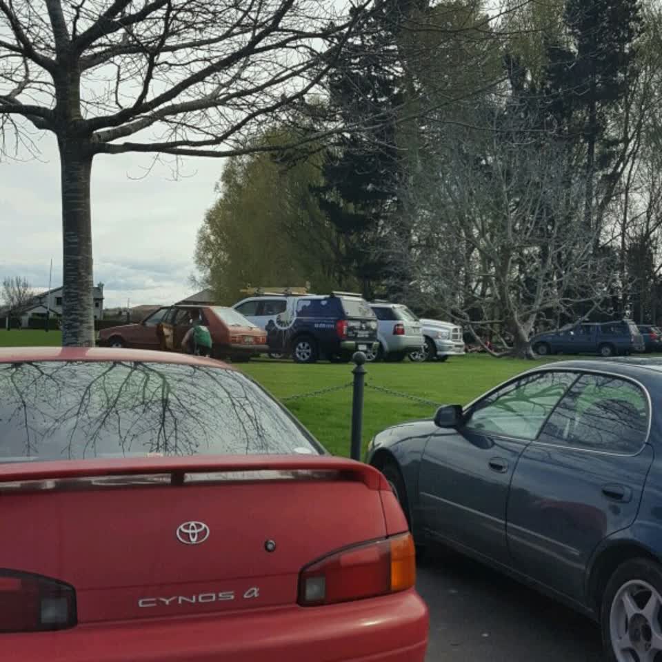 The photograph attached to this parks report