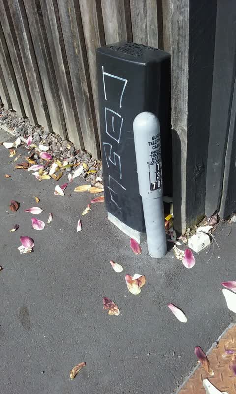 Graffiti, a report photo
