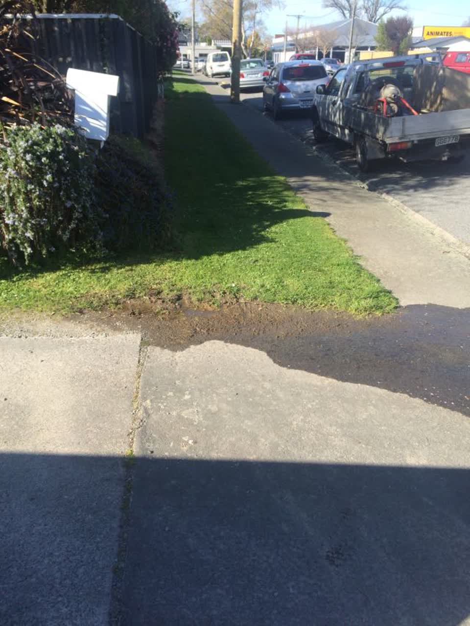 The photograph attached to this water supply report