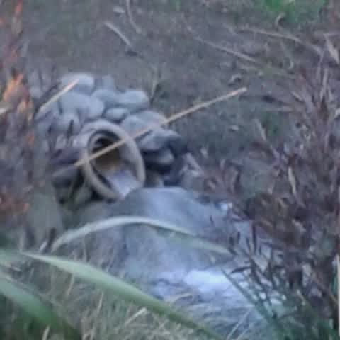 Wastewater/Stormwater, a report photo