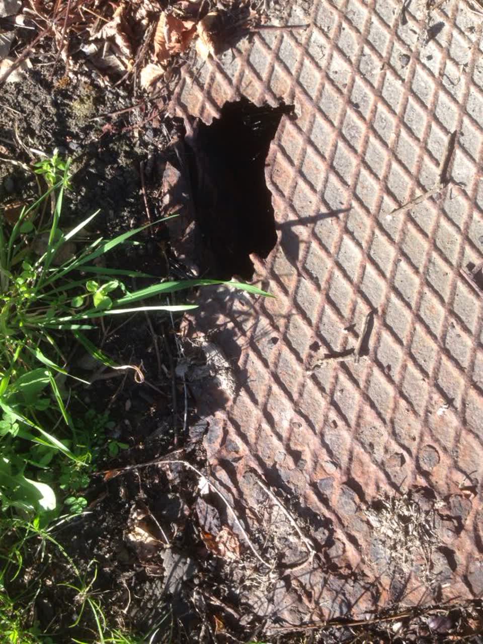 The photograph attached to this roading/streets report